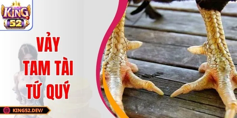 Vảy Tam Tài Tứ Quý Là Gì? Đặc điểm Nhận Diện & Ý Nghĩa